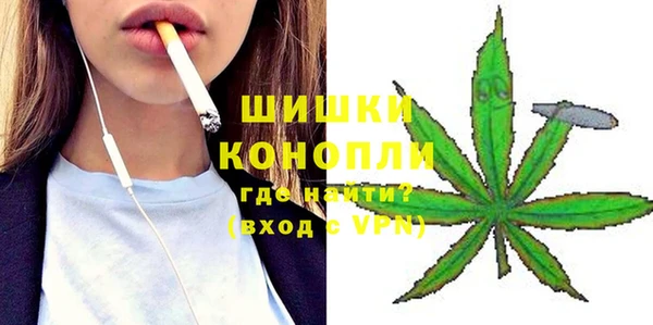 PSILOCYBIN Нязепетровск