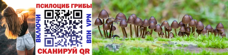 Псилоцибиновые грибы Cubensis даркнет сайт Верхняя Пышма